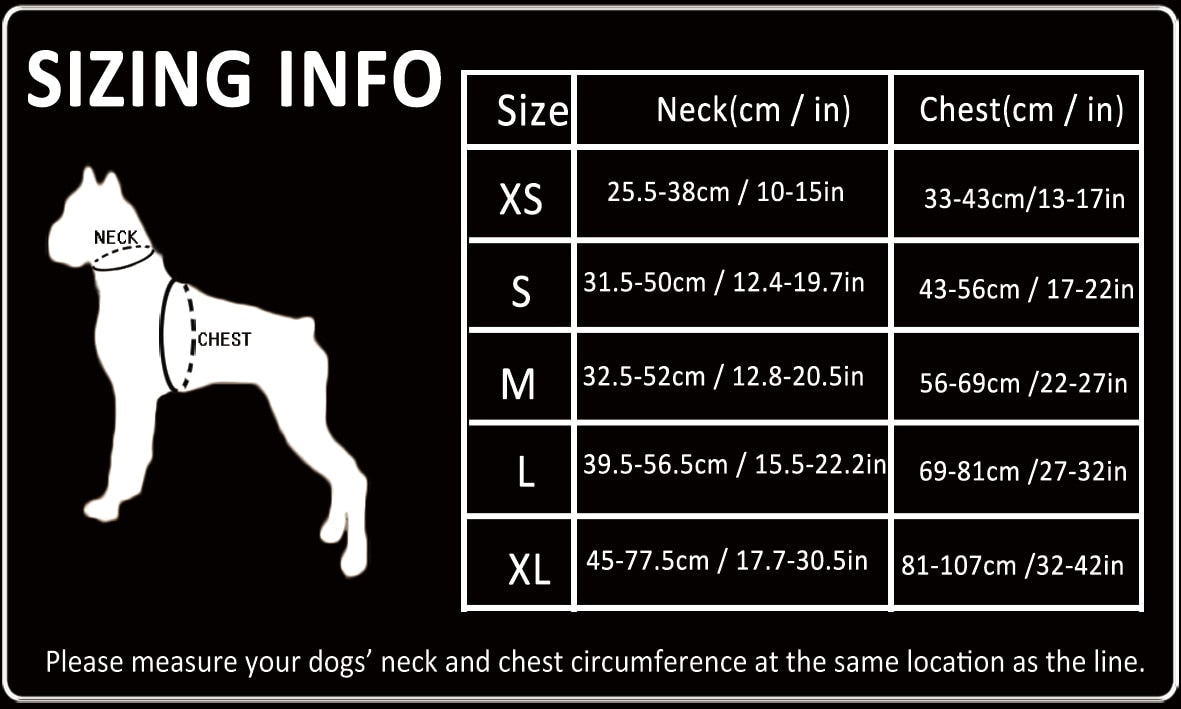 Reflective D-Flex Buckle Dog Harness
