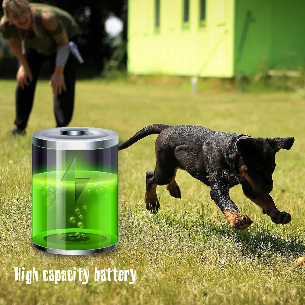 High-end Dog Electric Fence System