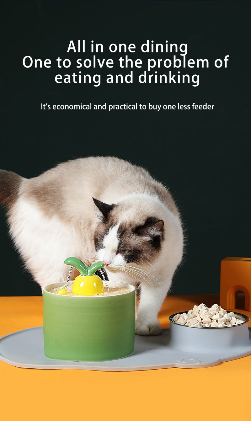Ceramic Pet Drinking Water Fountain
