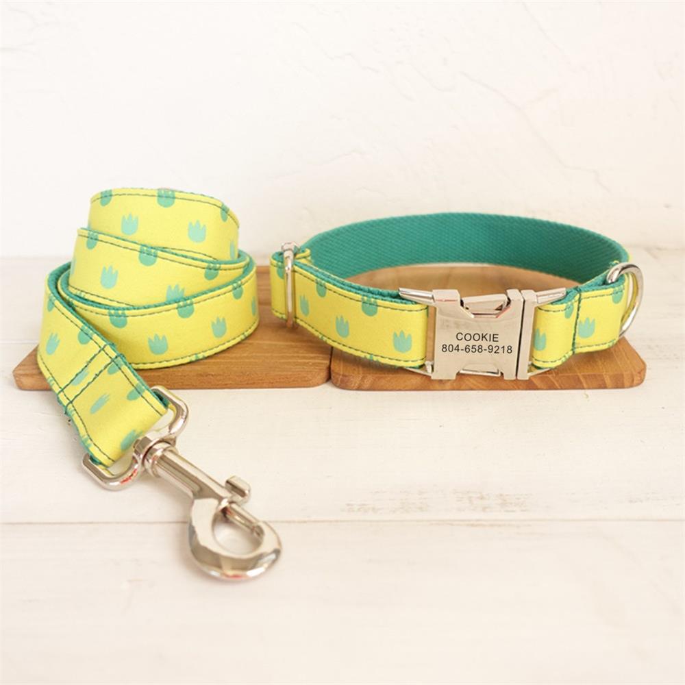 DRAGON PAWS Engraved Pet Collar