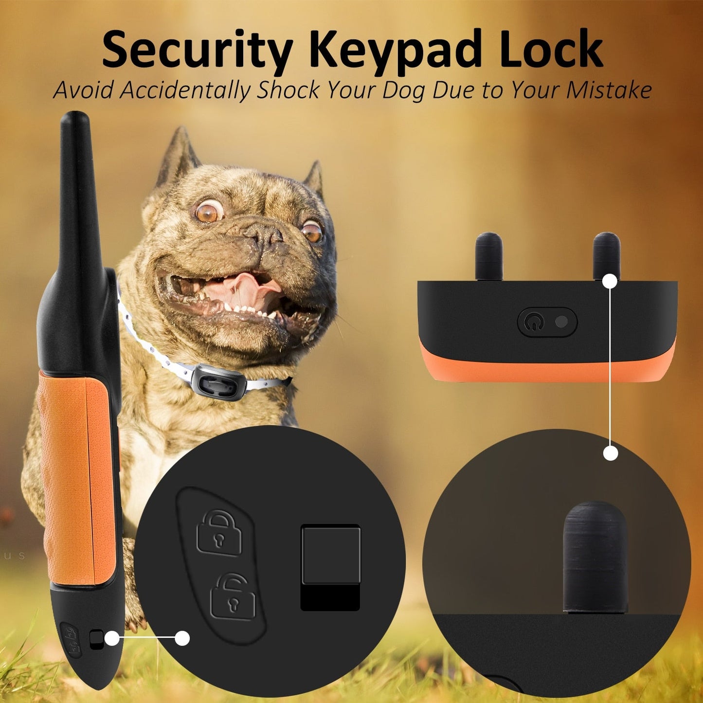 LCD Display Dog Training Collar