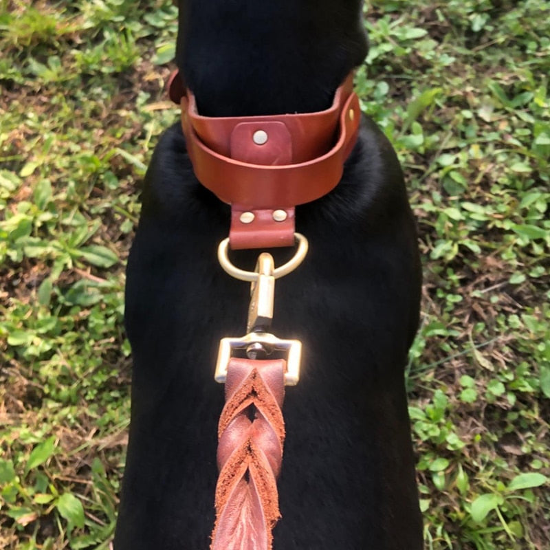 Leather Strong Braided Dog Leash