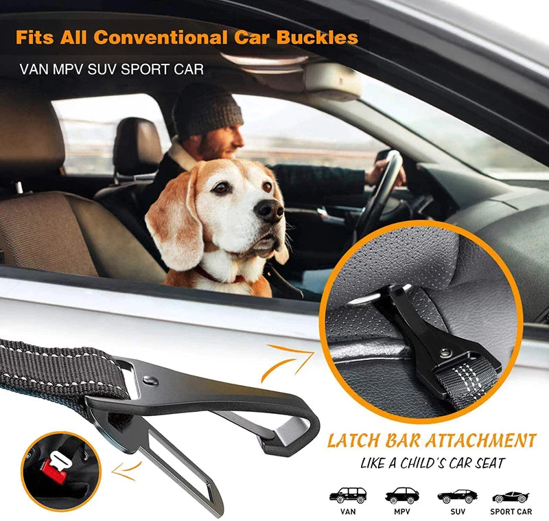 2 In 1 Latch Bar Bungee Dog Car Seat Belt