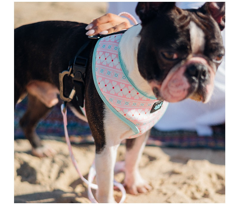 Fashion Dog Harness Vests