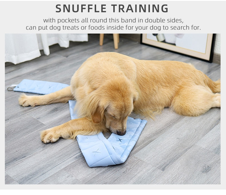 Dogs Intelligence IQ Snuffle Mat