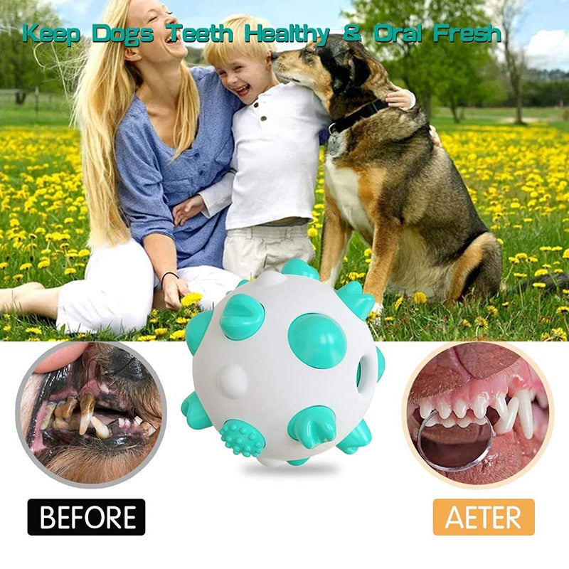 Bite Resistant Dog IQ Treat Toy Ball