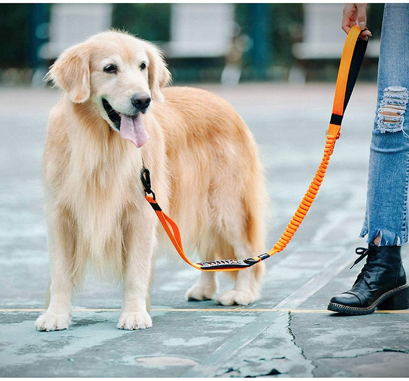 Multifunctional Heavy Duty Bungee Dog Leash