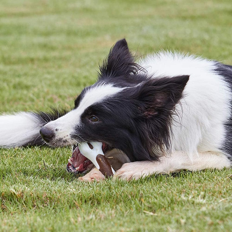 Durable Dog Bone Dental Care Pet Toy