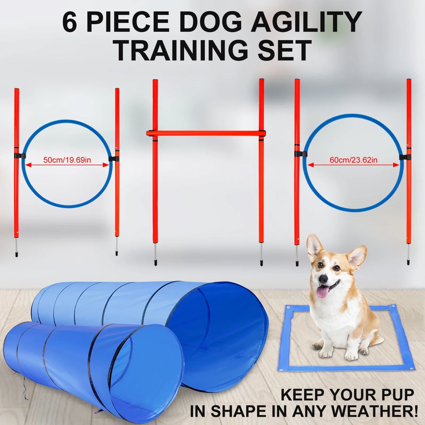 Dog Training Agility Equipment Full Set