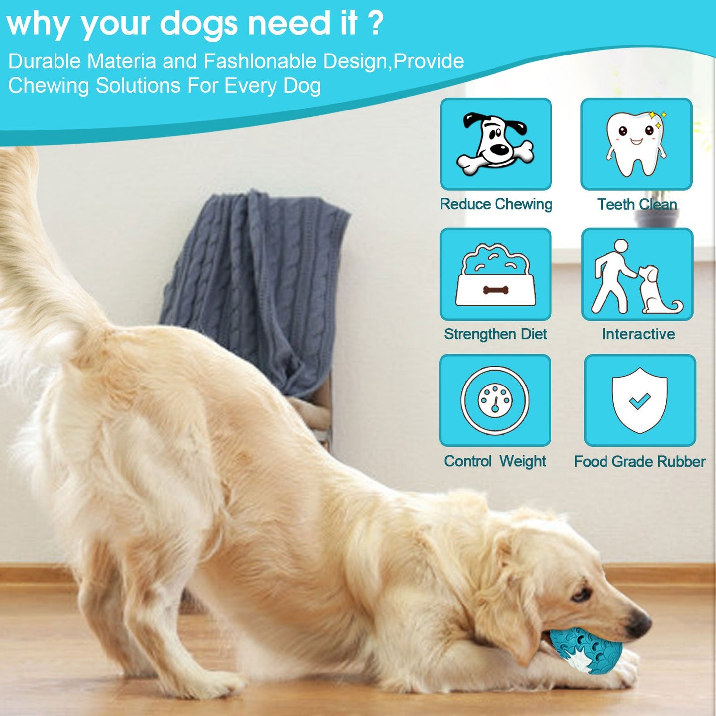 Indestructible Dragon Dog Chew Toys