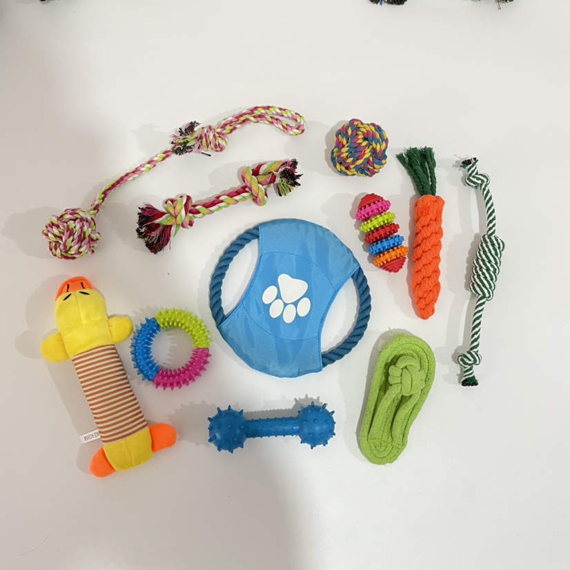 Interactive 11 Piece Dog Fun Toy Combo Pack