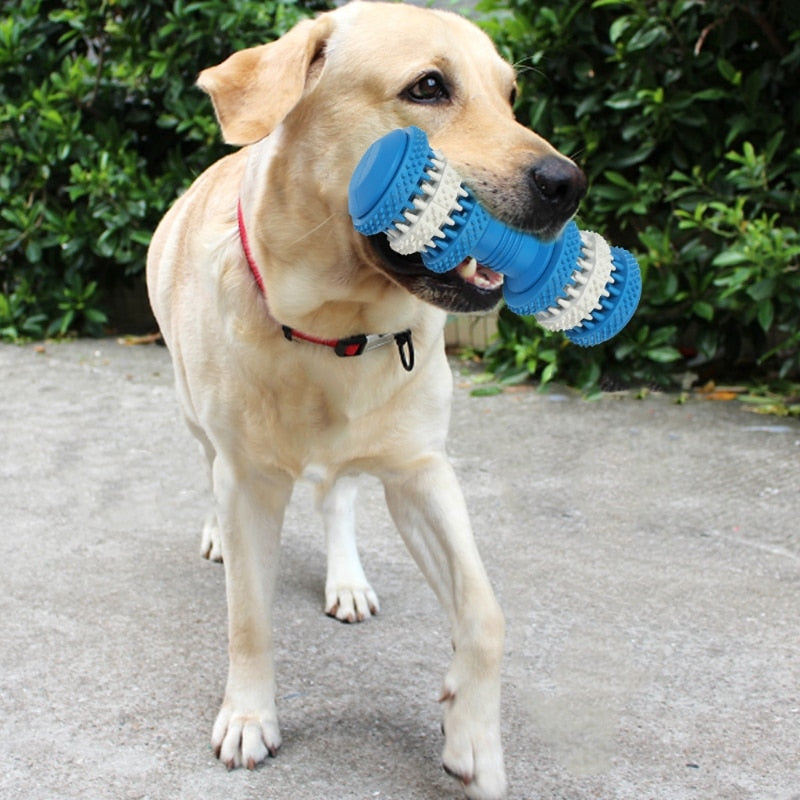 Dog Toys For Aggressive Chewers