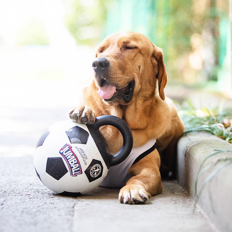 Inflatable Football Dog Fun Toys