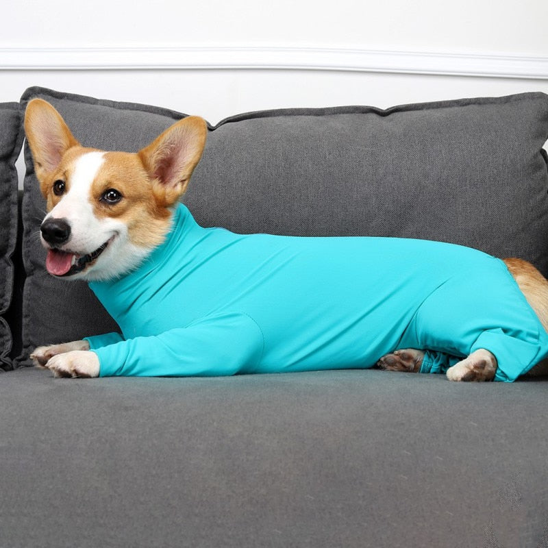Large Dogs Long Sleeved Jumpsuit