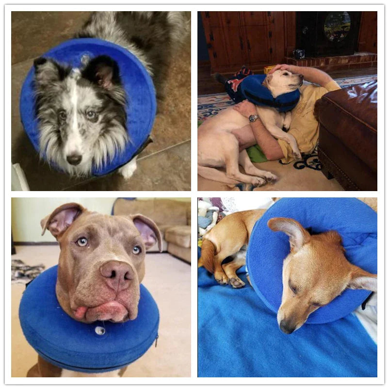 Inflatable Soft Dog Head Protecter