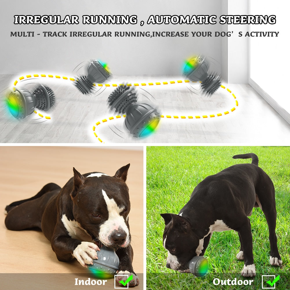 Automatic Interactive Dog Fun Toy