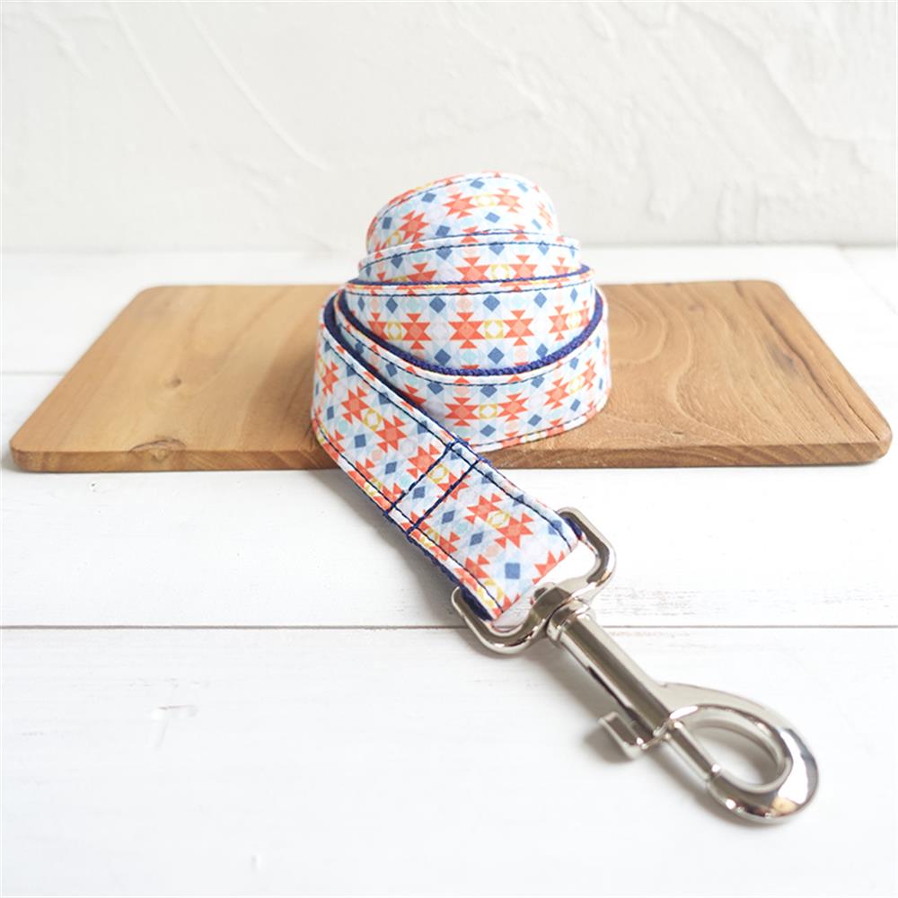 GEOMETRY Engraved Dog Collar