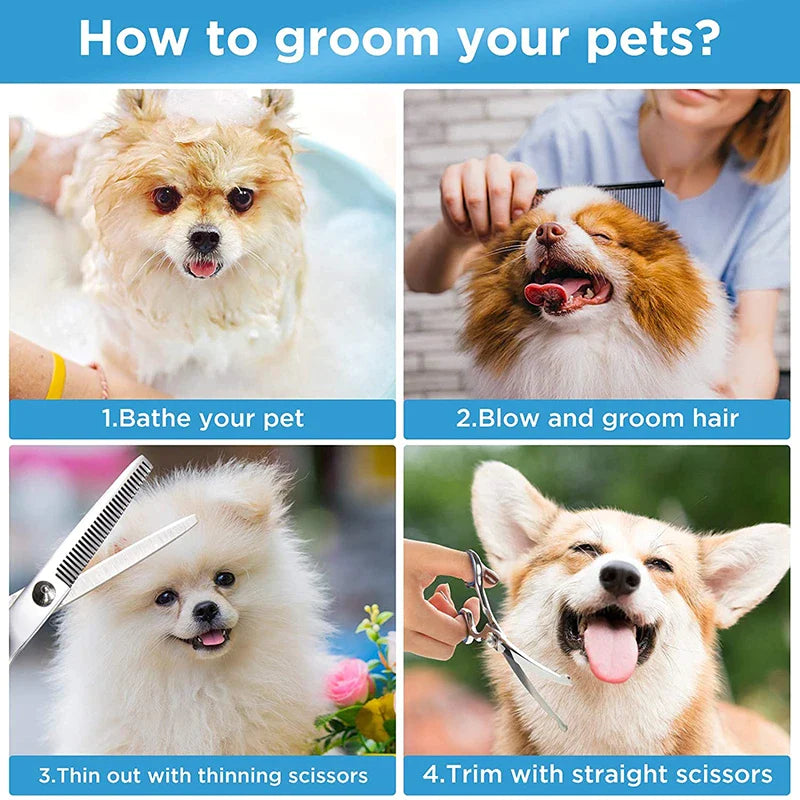 Professional Quality Dog Scissors Grooming Kit