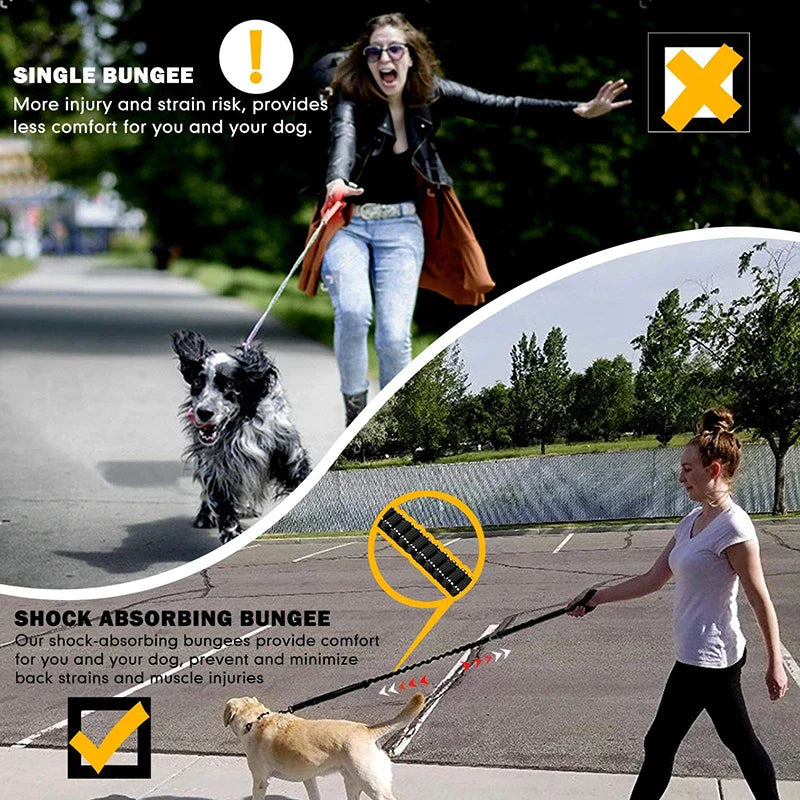 Shock Absorbing Bungee Dog Leash