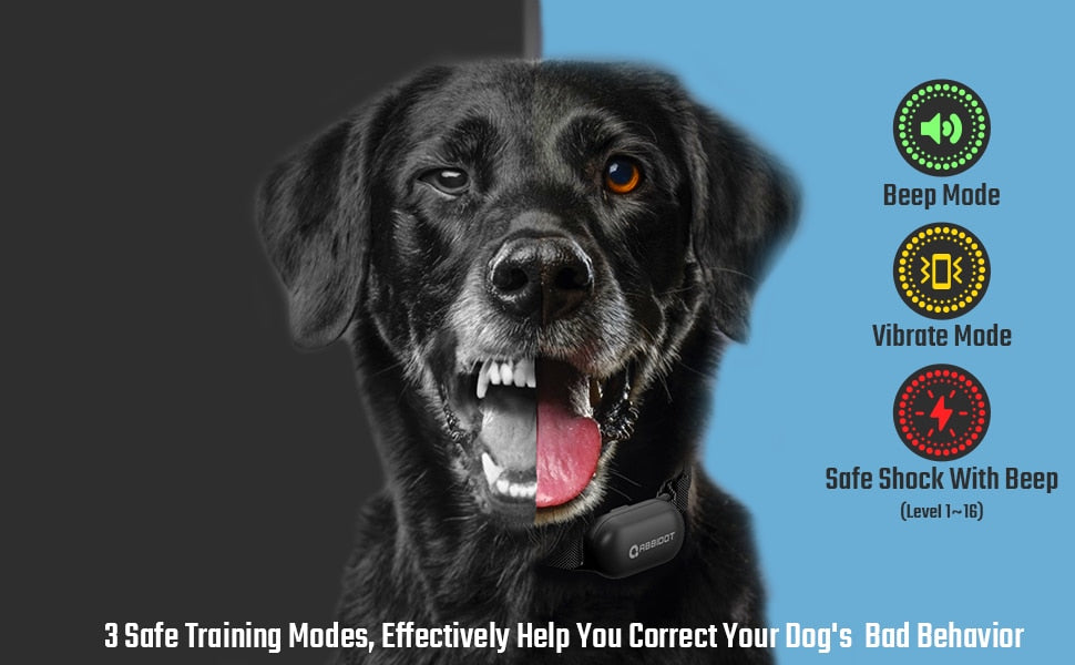 3000Ft Premium Dog Training Collar