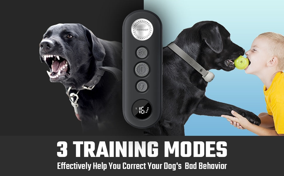 3000Ft Premium Dog Training Collar