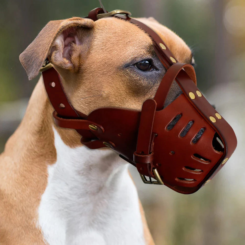 Real Leather Dog Muzzle