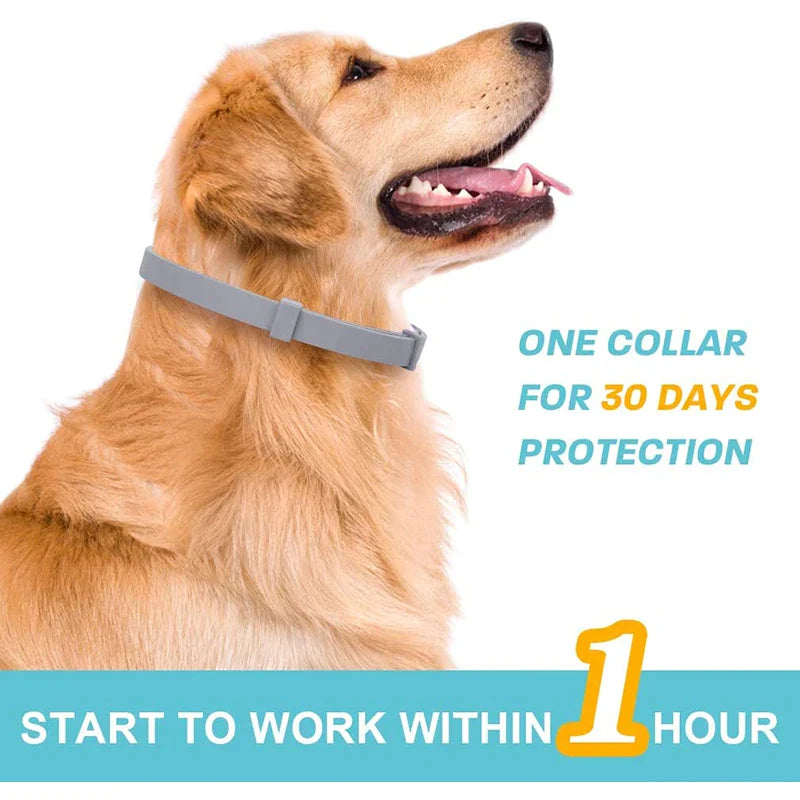 Effective Calming Collar For Dogs