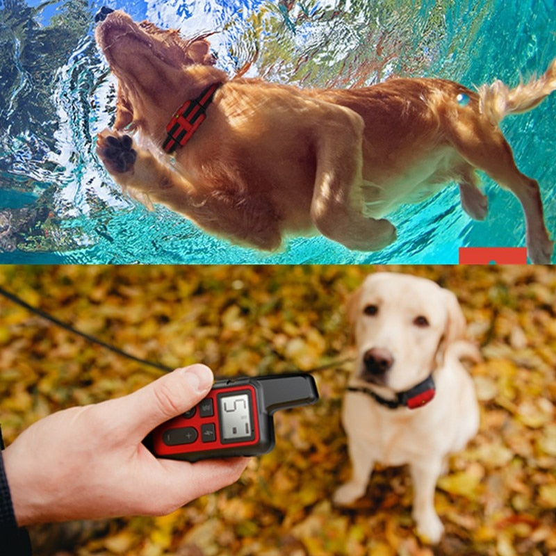 500m Waterproof Dog Training Collar