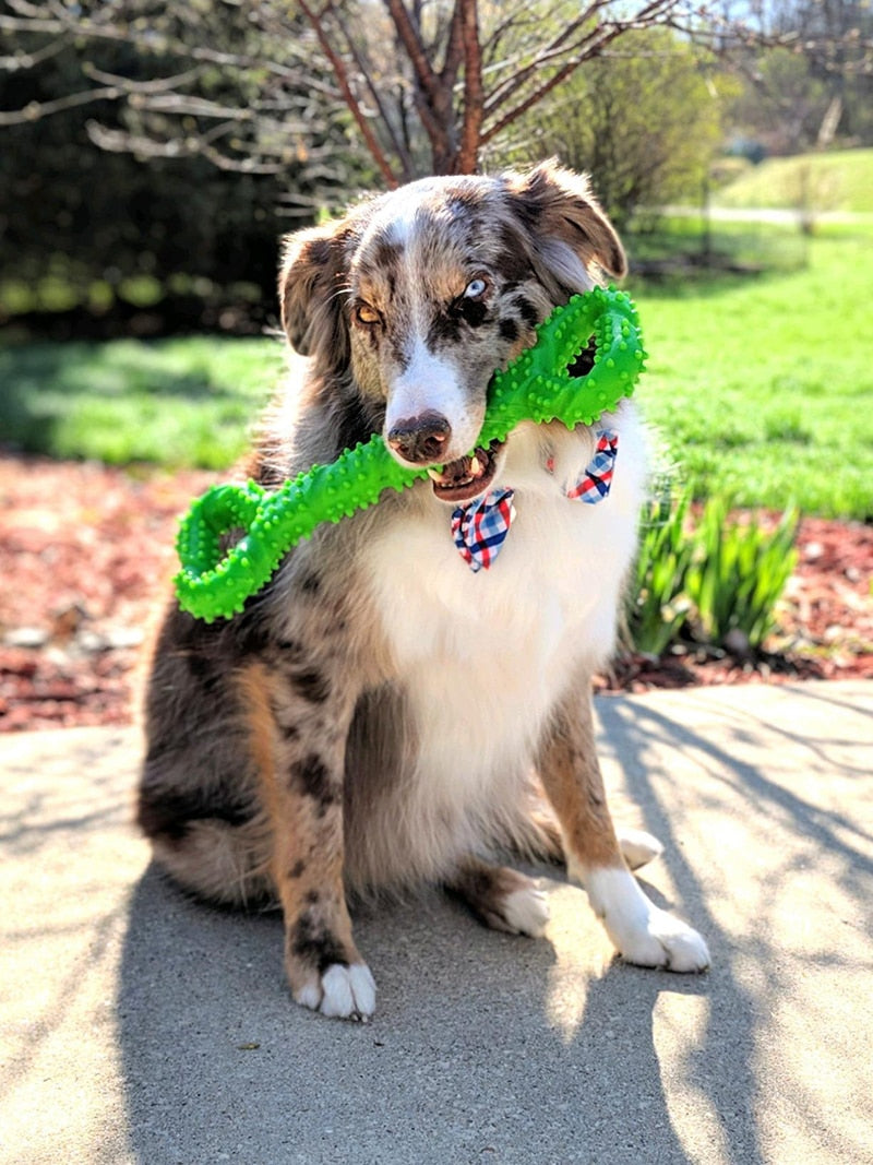 Durable Interactive Dog Bone Chew Toy