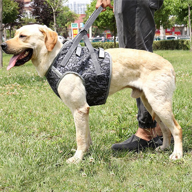 High Quality Explosion-Proof Pet Harness