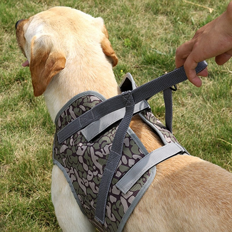 High Quality Explosion-Proof Pet Harness