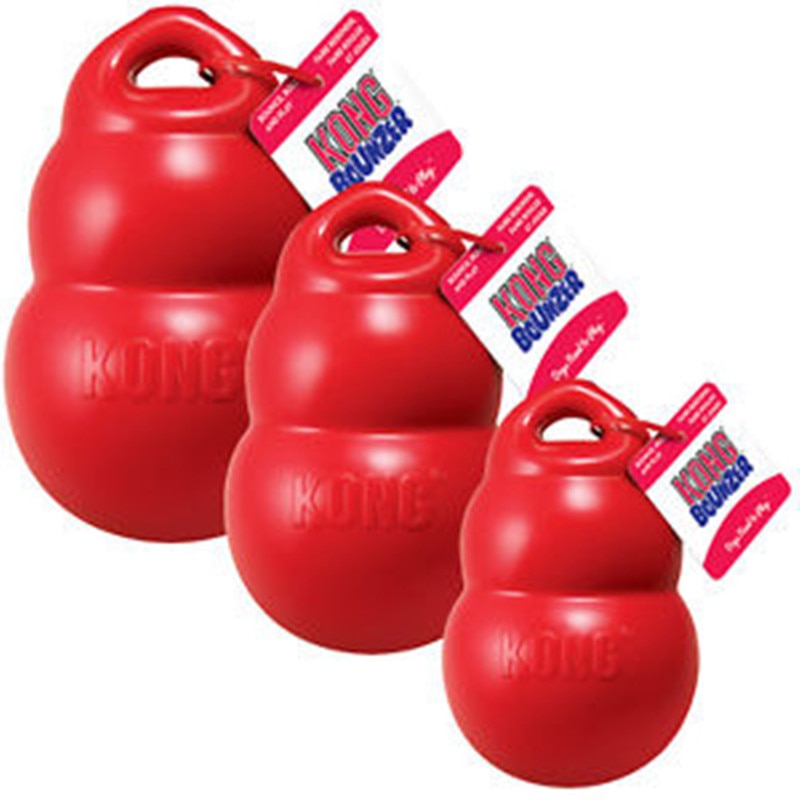 Fun Bounzer Dog Toy