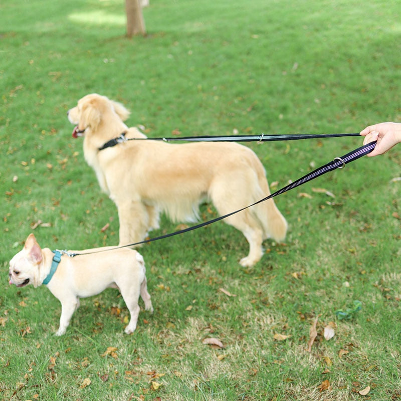 Multifunctional Anti Slip Reflective Dog Leashes
