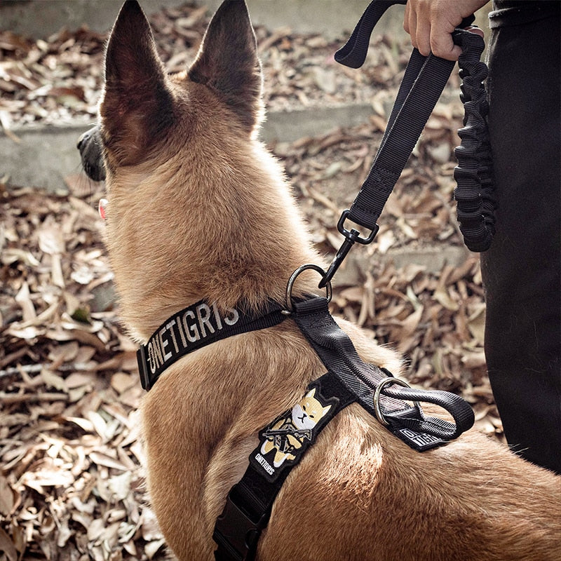 GOLIATH K9 Dog Training Harness