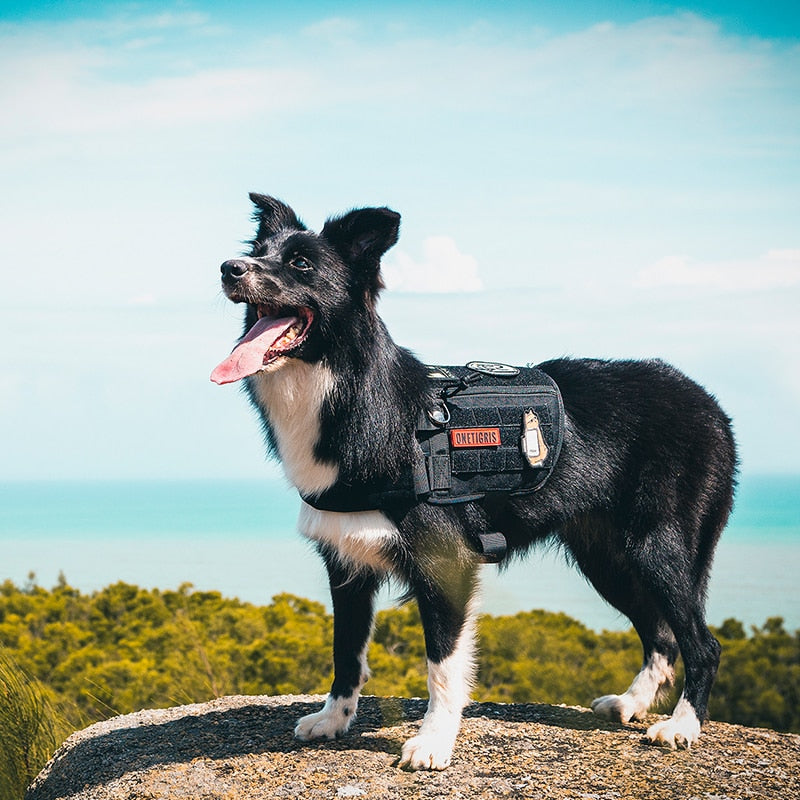 High Quality Tactical Military Dog Harness