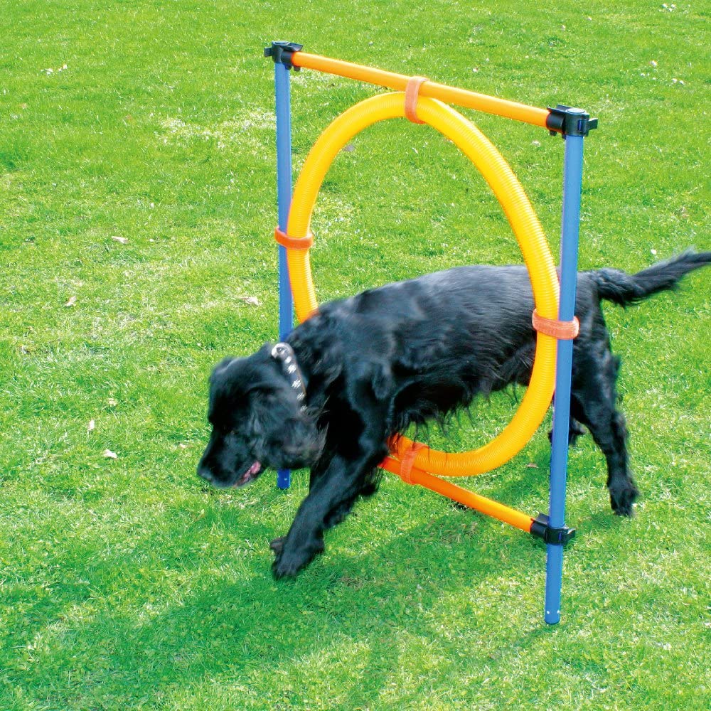 Outdoor Dogs Games Agility Kit