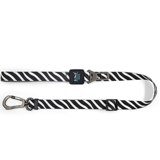 2 In 1 Pet Dog Walking Leash