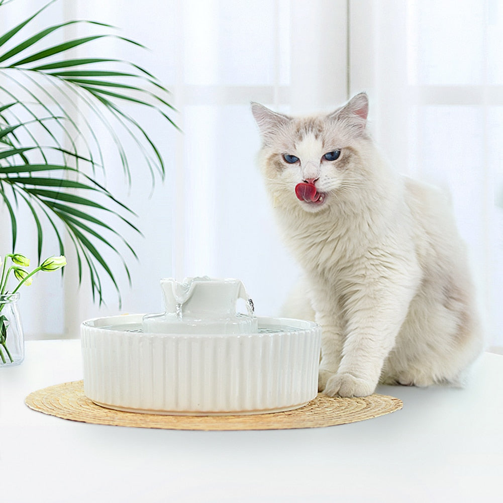 Portable Ceramic Pet Drinking Fountain