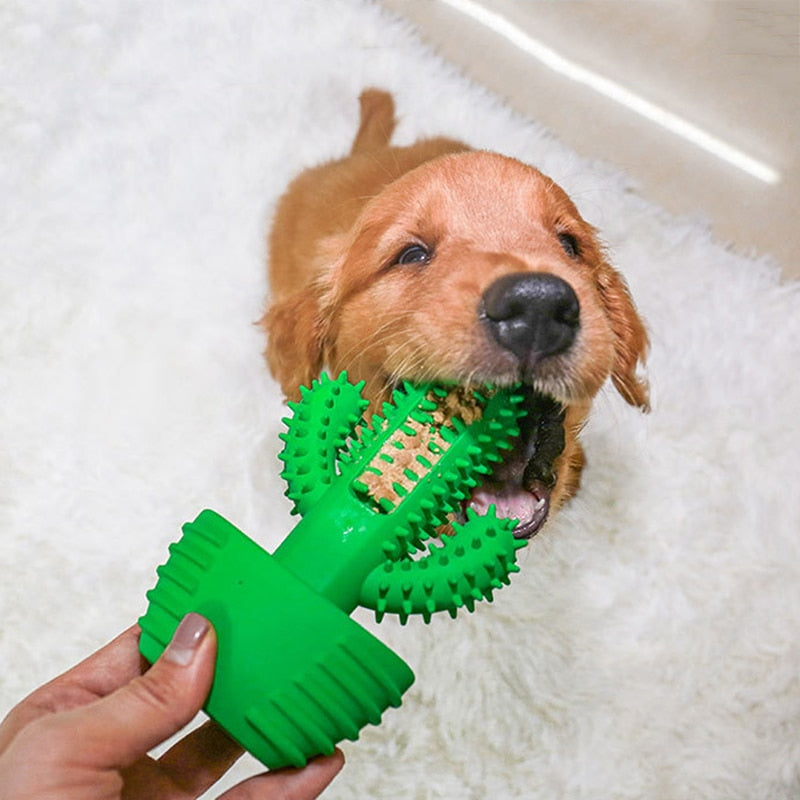 Indestructible Teeth Cleaning Dog Toy