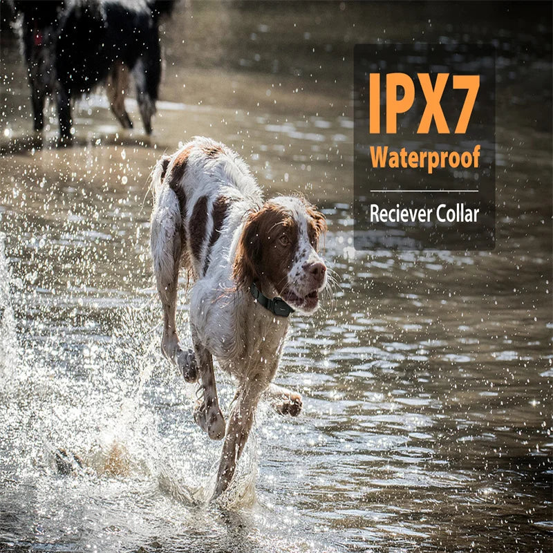 2 Channels Waterproof Training Collar