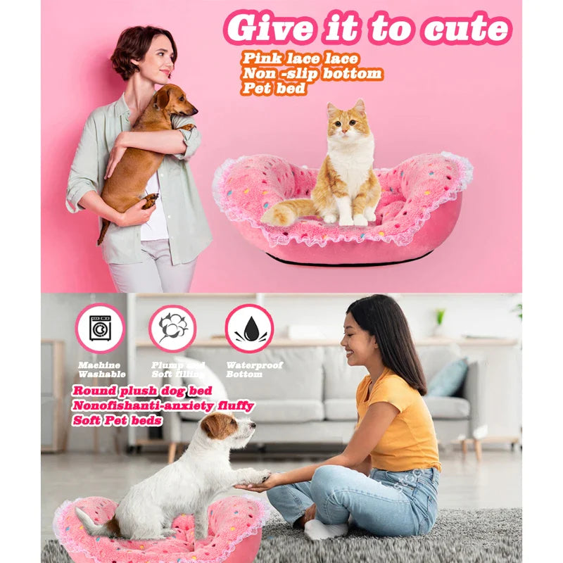Cute Princess Style Dog Bed