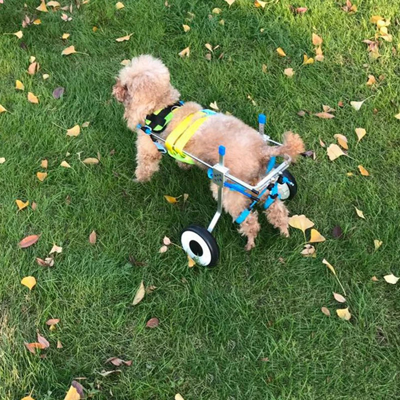 Nordic 4 Wheel Aluminum Dog Wheelchair