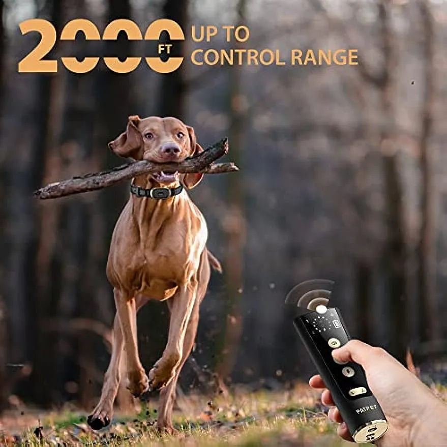 2000FT Training Dog Collar