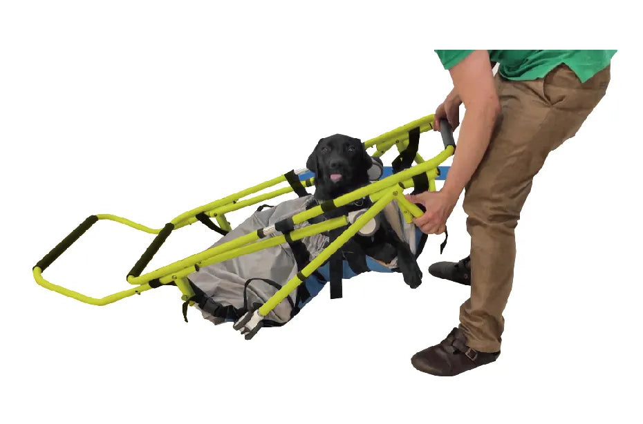 Elderly Dog Rehabilitation Wheelchair