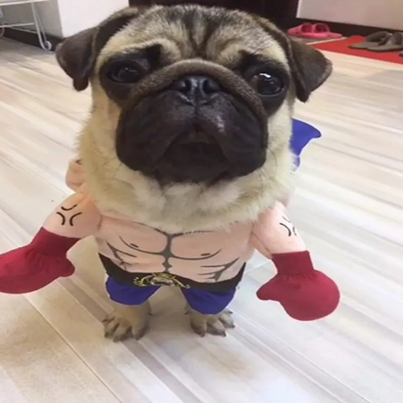 Funny Dog Cosplay Boxer Costume