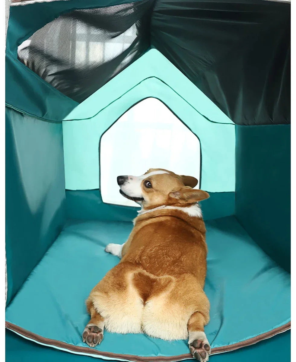 Soft Collapsible Travel Dog Kennel