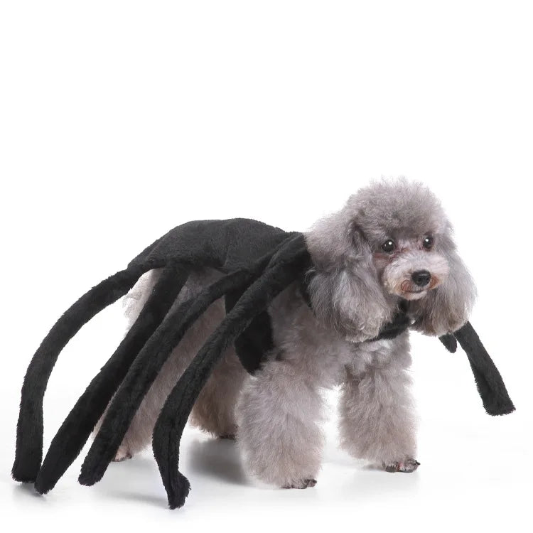 Funny Black Spider Dog Costume