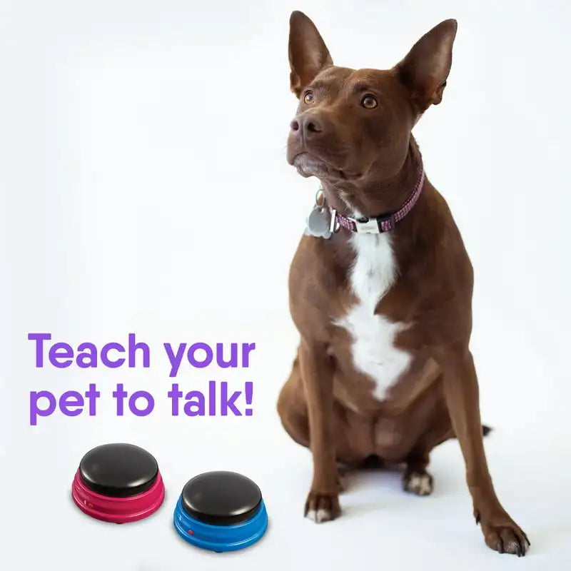 4 Recordable Buttons Pet Starter Set