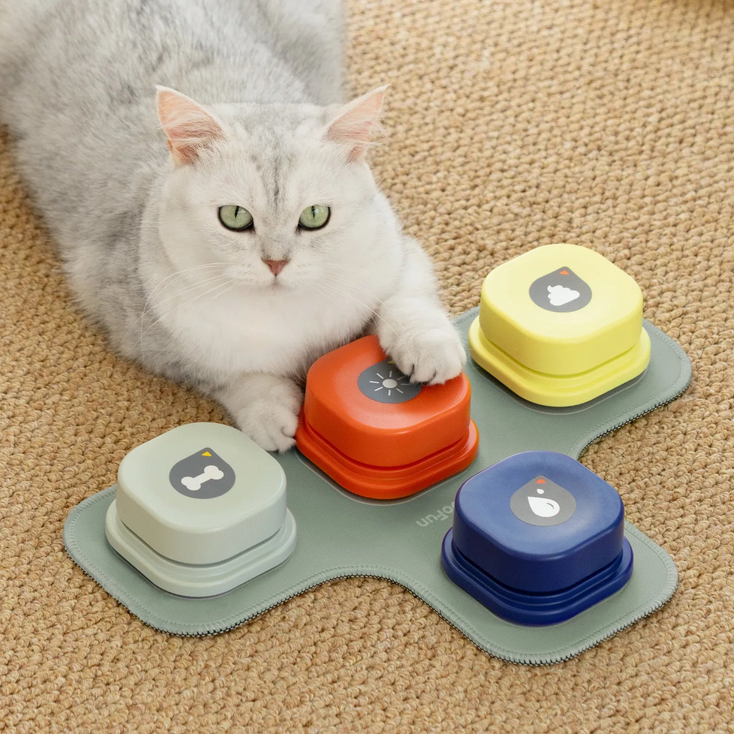 Fun Vocal Dog Recorder Talking Pad