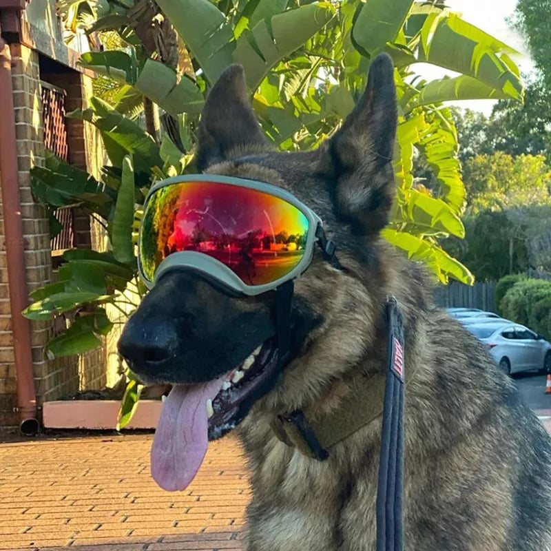 Outdoor Dog Fashion Sports Glasses